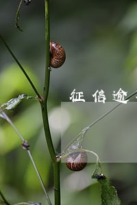 征信逾期四天会影响贷款吗 征信逾期四天会影响贷款吗
