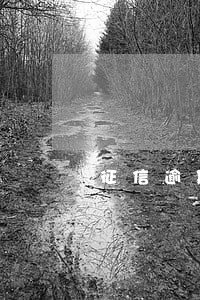 征信逾期多久可以办信用卡 征信逾期多久可以办信用卡
