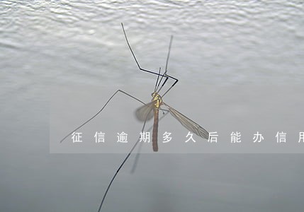 征信逾期多久后能办信用卡 征信逾期多久后能办信用卡