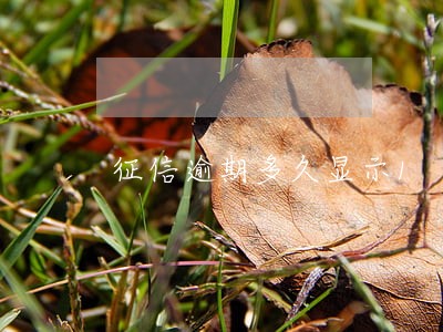 征信逾期多久显示1 征信逾期多久显示1