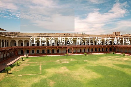 征信逾期多能担保贷款吗 征信逾期多能担保贷款吗