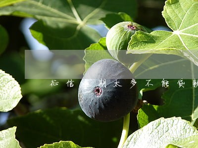 征信逾期太多不能贷款怎么办 征信逾期太多不能贷款怎么办