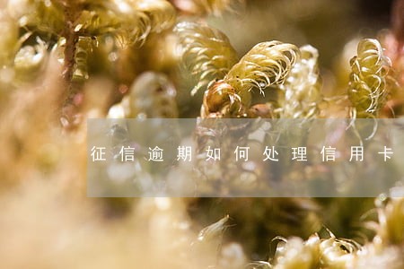 征信逾期如何处理信用卡 征信逾期如何处理信用卡