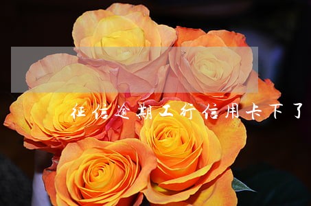 征信逾期工行信用卡下了 征信逾期工行信用卡下了