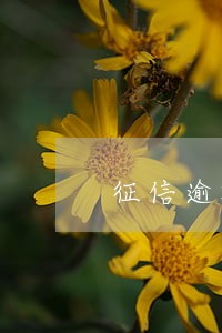 征信逾期已经结清可以贷款吗 征信逾期已经结清可以贷款吗