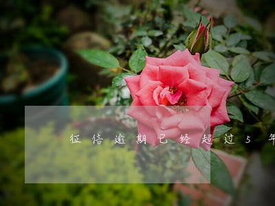征信逾期已经超过5年了 征信逾期已经超过5年了