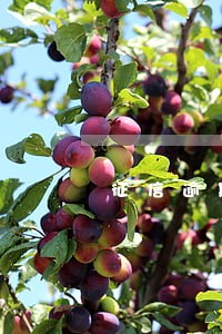 征信逾期影响信用卡吗 征信逾期影响信用卡吗