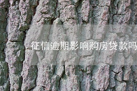 征信逾期影响购房贷款吗 征信逾期影响购房贷款吗