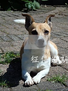 征信逾期很怎么贷款 征信逾期很怎么贷款