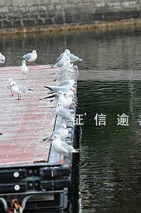 征信逾期必须要买理财产品吗 征信逾期必须要买理财产品吗