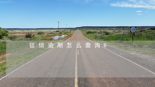 征信逾期怎么查询6 征信逾期怎么查询6