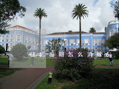 征信逾期怎么消除6 征信逾期怎么消除6
