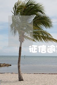 征信逾期怎么网贷