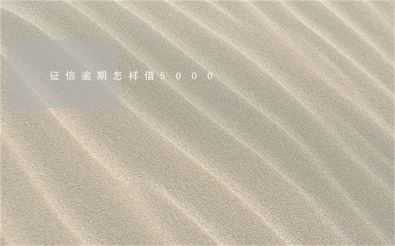 征信逾期怎样借5000