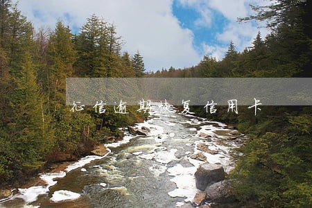 征信逾期恢复信用卡 征信逾期恢复信用卡