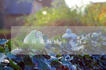 征信逾期情况说明6 征信逾期情况说明6