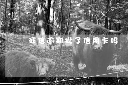 征信逾期批了信用卡吗 征信逾期批了信用卡吗