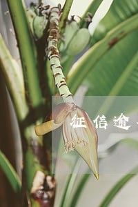 征信逾期找不到贷款机构还款 征信逾期找不到贷款机构还款