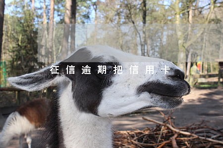 征信逾期把信用卡
