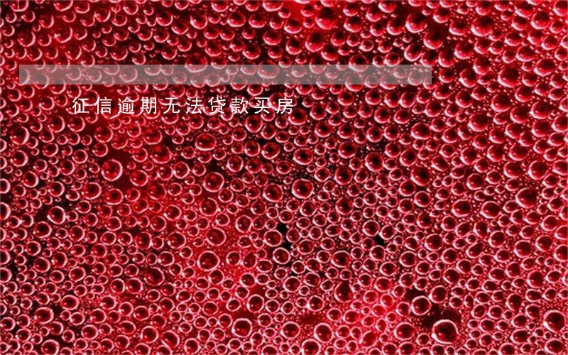 征信逾期无法贷款买房 征信逾期无法贷款买房