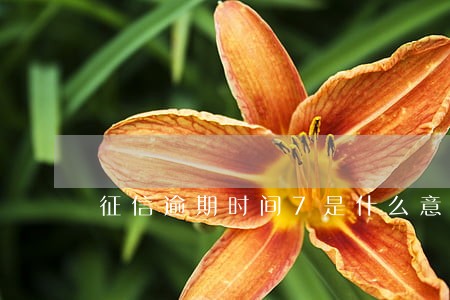 征信逾期时间7是什么意思 征信逾期时间7是什么意思