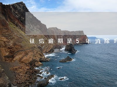 征信逾期是5年消除吗 征信逾期是5年消除吗