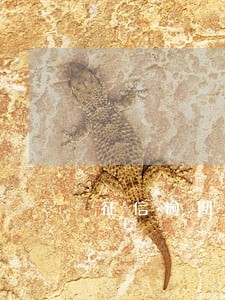 征信逾期是不是不能贷款了 征信逾期是不是不能贷款了