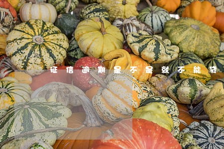 征信逾期是不是就不能贷款了 征信逾期是不是就不能贷款了