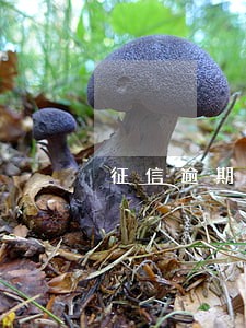 征信逾期是不是银行不能贷款 征信逾期是不是银行不能贷款