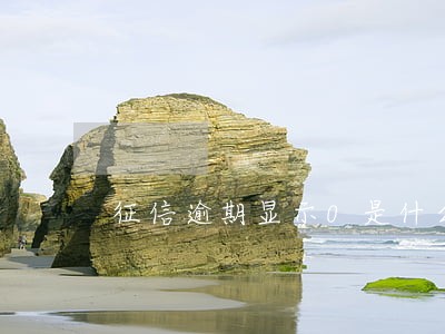征信逾期显示0是什么意思 征信逾期显示0是什么意思