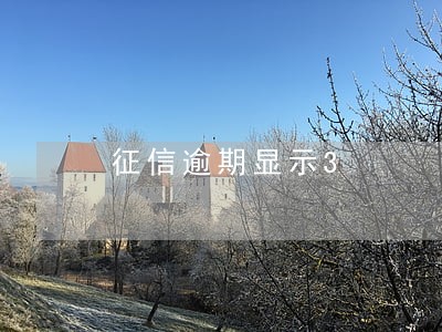 征信逾期显示3 征信逾期显示3