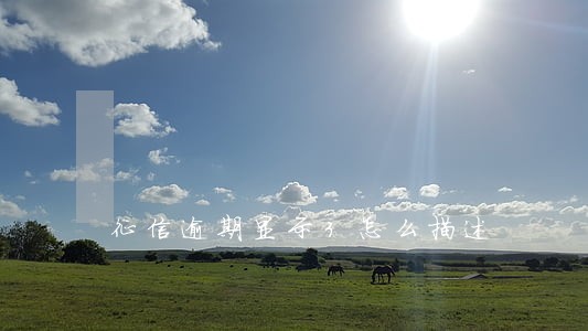征信逾期显示3怎么描述