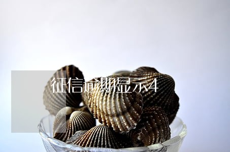 征信逾期显示4 征信逾期显示4