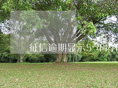 征信逾期显示5年内有7次逾期 征信逾期显示5年内有7次逾期
