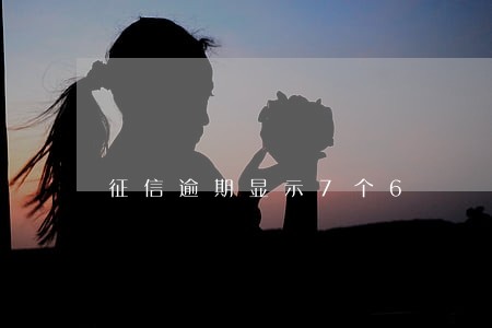 征信逾期显示7个6