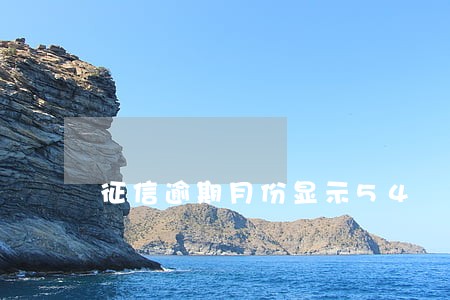 征信逾期月份显示54 征信逾期月份显示54