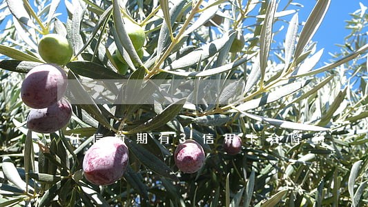 征信逾期有3信用卡会降额 征信逾期有3信用卡会降额