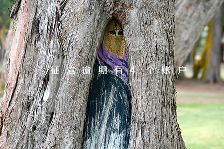 征信逾期有4个账户 征信逾期有4个账户