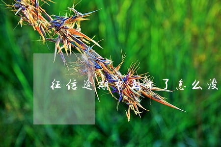 征信逾期有五年了怎么没消6 征信逾期有五年了怎么没消6