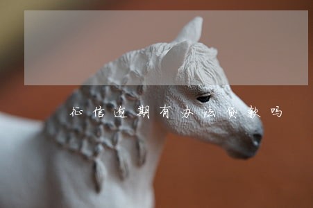 征信逾期有办法贷款吗