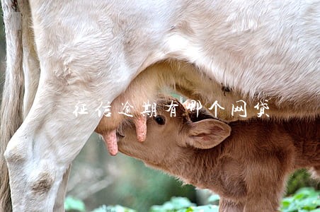 征信逾期有哪个网贷 征信逾期有哪个网贷