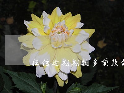 征信逾期期数多贷款的银行 征信逾期期数多贷款的银行
