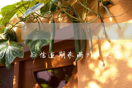征信逾期未满90天房贷 征信逾期未满90天房贷