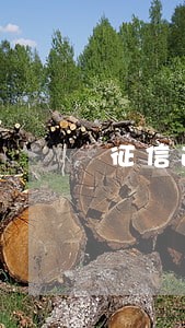 征信逾期未超过90天能买车 征信逾期未超过90天能买车