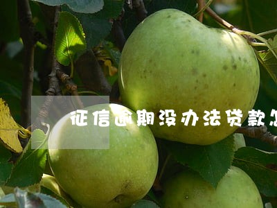 征信逾期没办法贷款怎么办