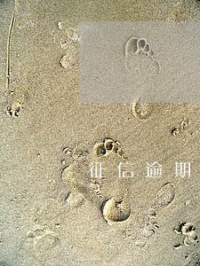 征信逾期没有超过30天 征信逾期没有超过30天