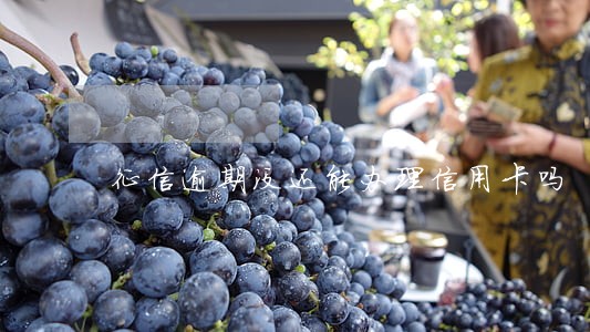 征信逾期没还能办理信用卡吗