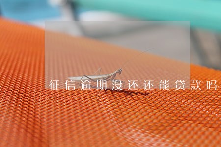 征信逾期没还还能贷款吗 征信逾期没还还能贷款吗