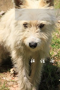 征信逾期注销5年