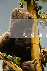 征信逾期消费贷款审批 征信逾期消费贷款审批